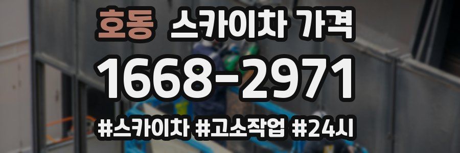 호동 스카이차 가격