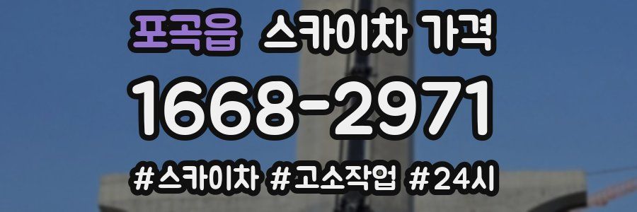 포곡읍 스카이차 가격