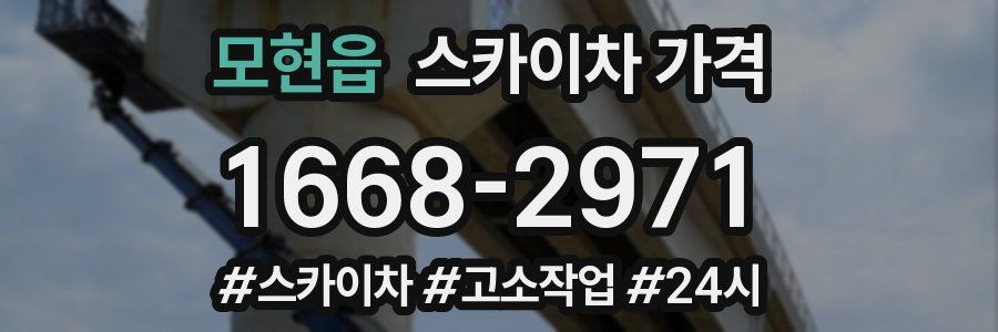 모현읍 스카이차 가격