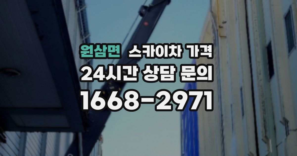 원삼면 스카이차 가격