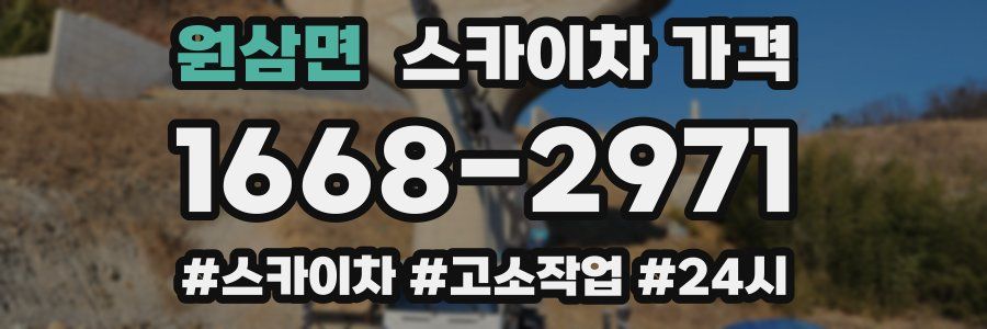 원삼면 스카이차 가격