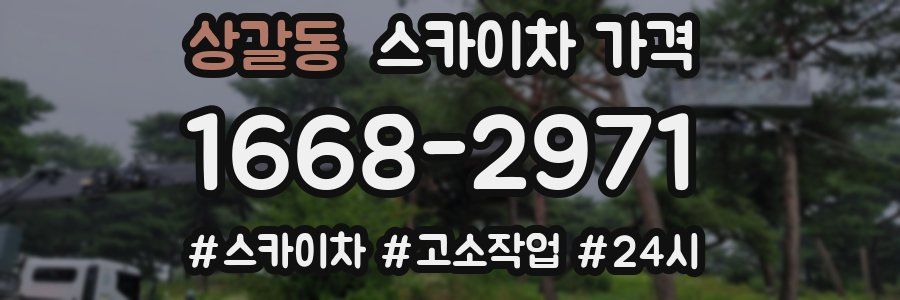 상갈동 스카이차 가격