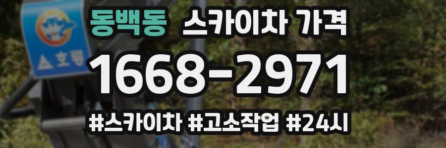 동백동 스카이차 가격