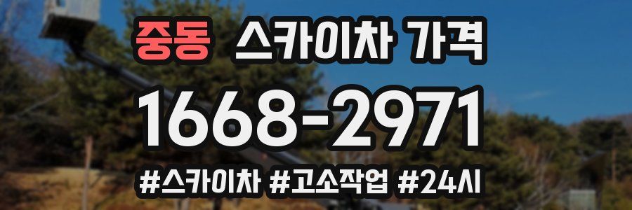 중동 스카이차 가격