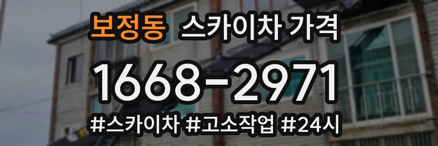 보정동 스카이차 가격