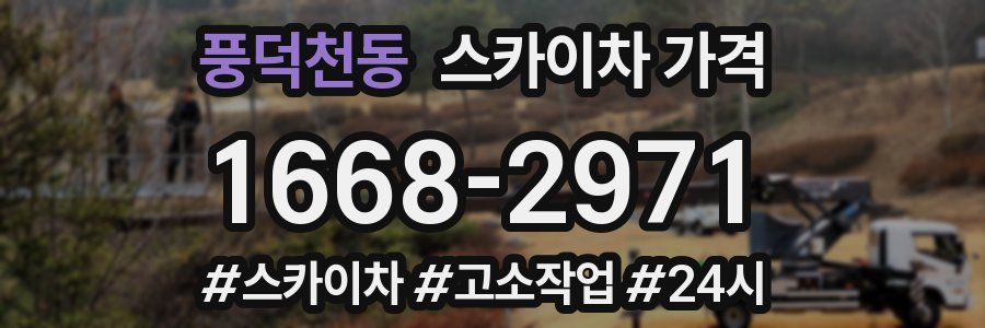 풍덕천동 스카이차 가격