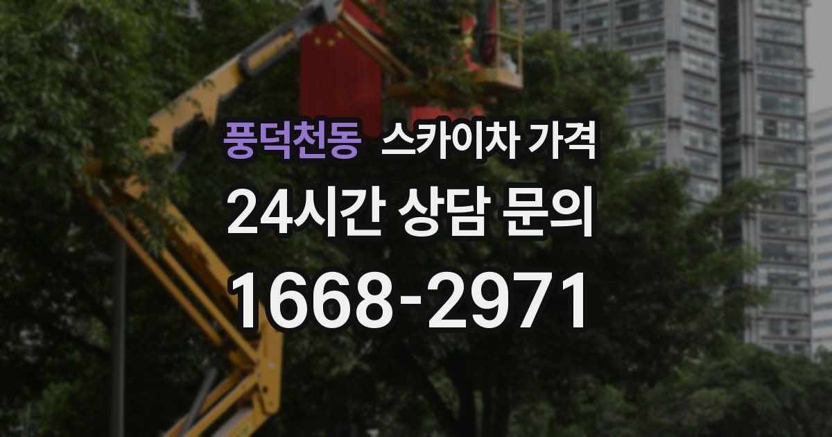 풍덕천동 스카이차 가격
