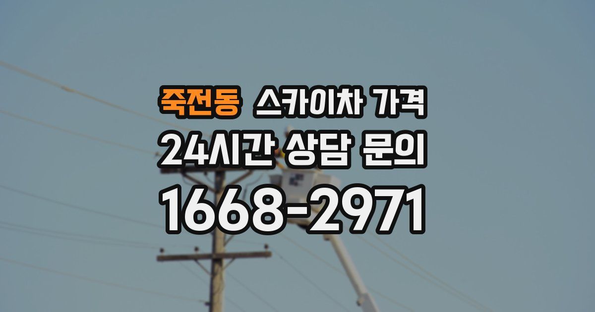 죽전동 스카이차 가격