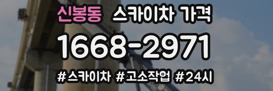 신봉동 스카이차 가격