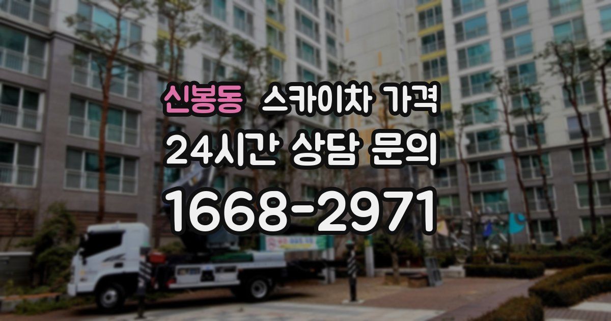 신봉동 스카이차 가격