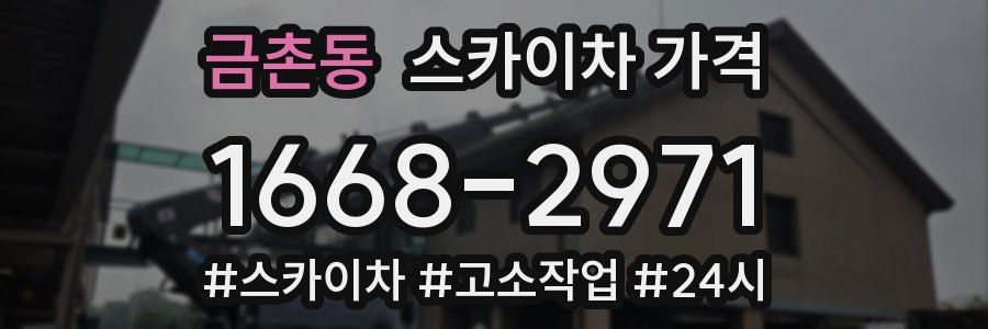 금촌동 스카이차 가격