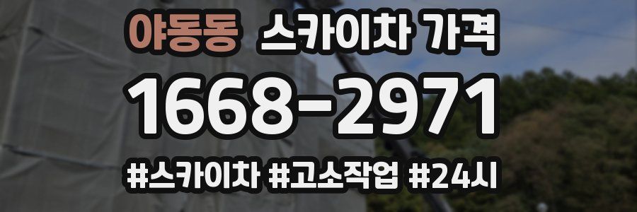 야동동 스카이차 가격