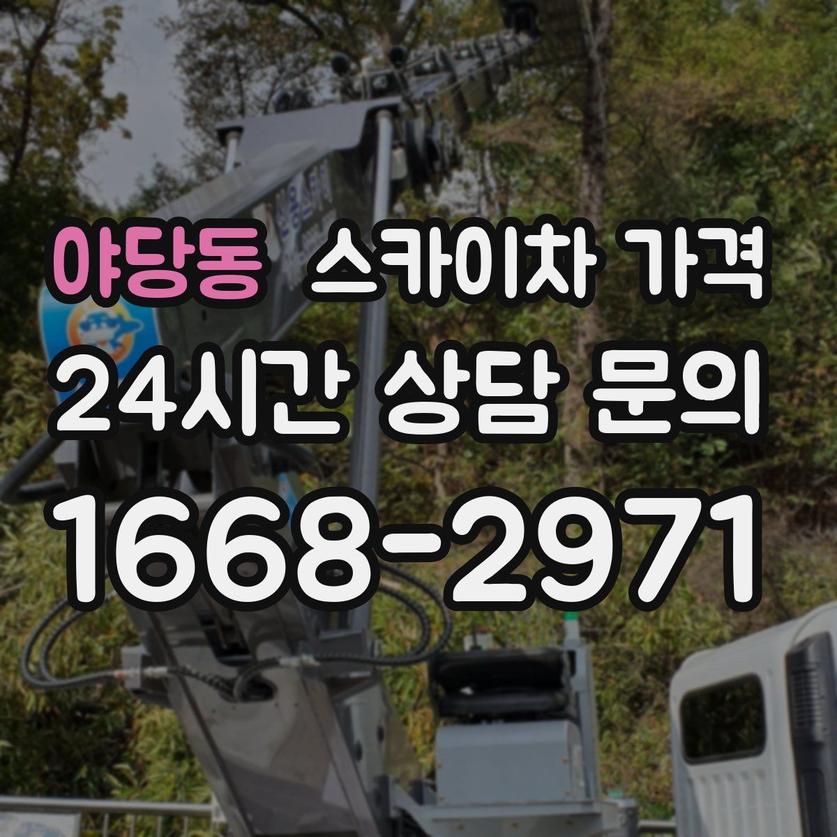 야당동 스카이차 가격