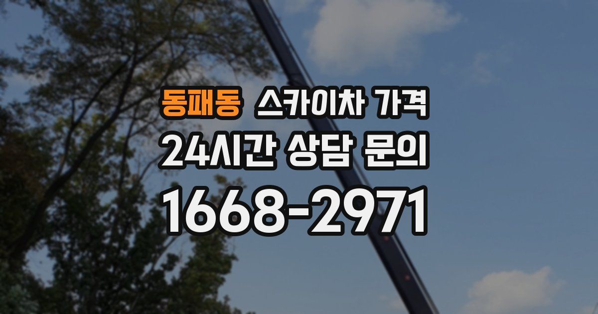 동패동 스카이차 가격