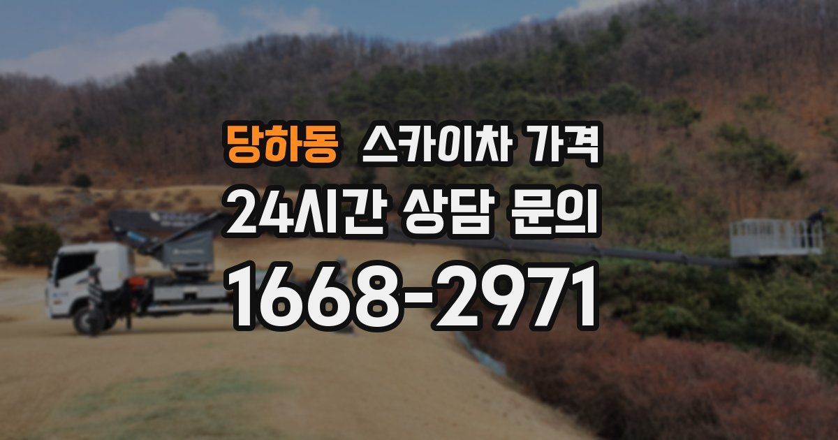 당하동 스카이차 가격