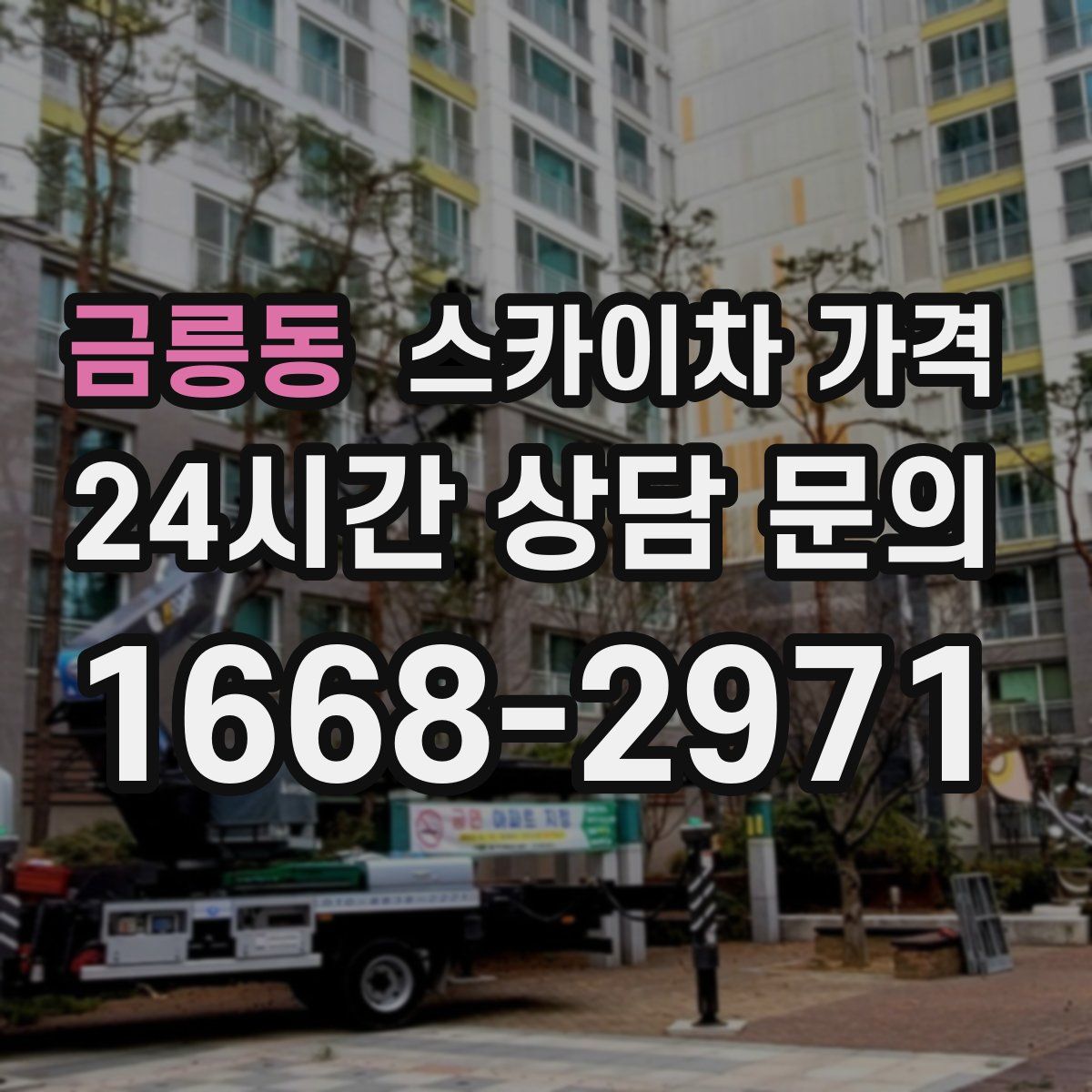 금릉동 스카이차 가격