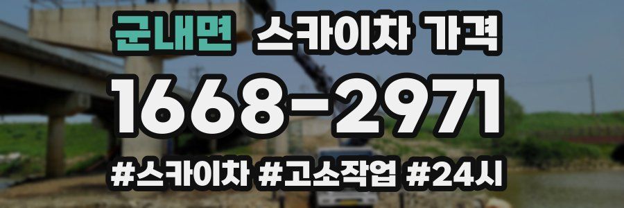 군내면 스카이차 가격