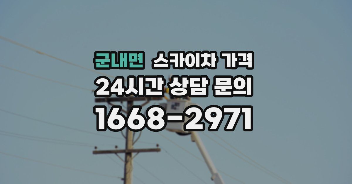 군내면 스카이차 가격