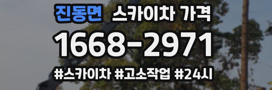 진동면 스카이차 가격