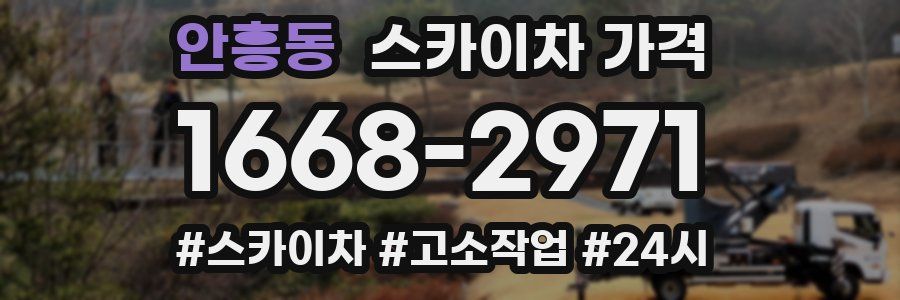 안흥동 스카이차 가격