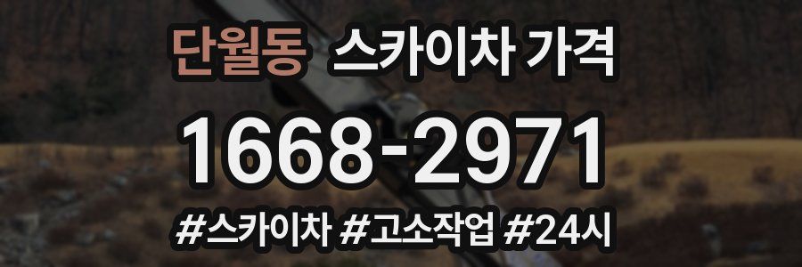 단월동 스카이차 가격