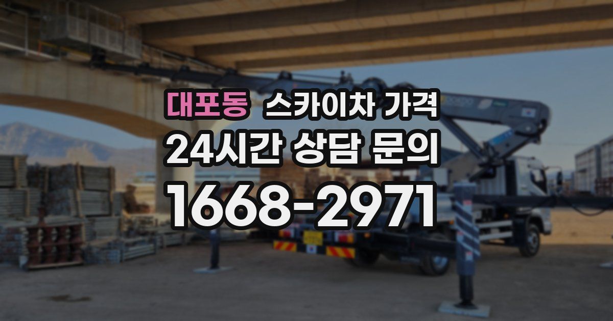 대포동 스카이차 가격