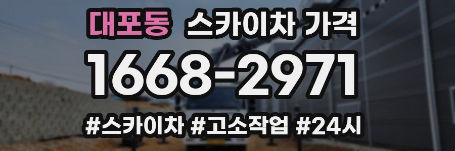 대포동 스카이차 가격