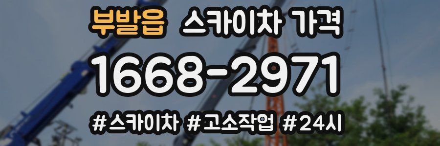 부발읍 스카이차 가격