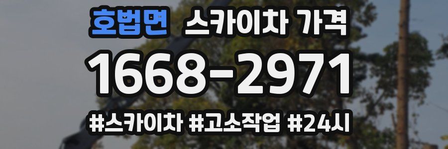 호법면 스카이차 가격