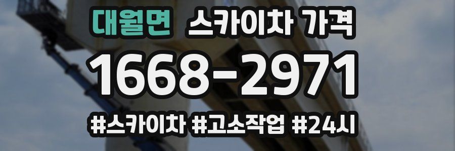 대월면 스카이차 가격