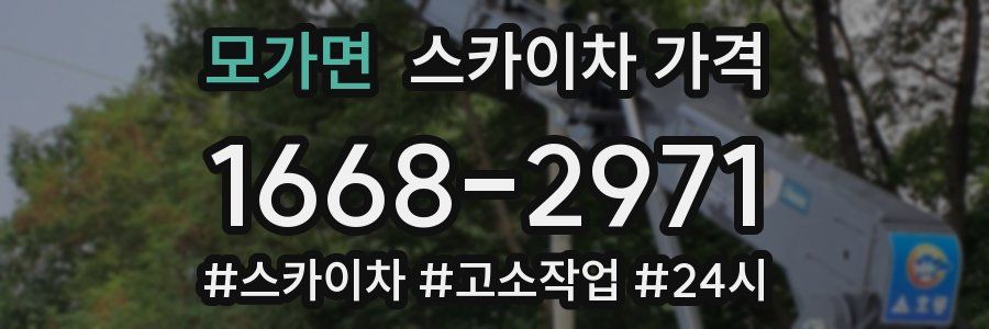 모가면 스카이차 가격