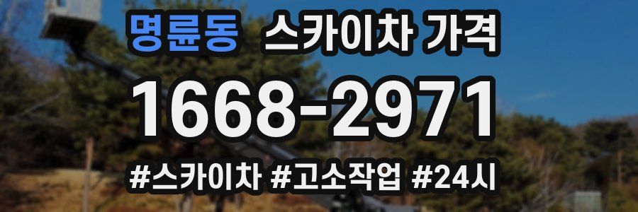 명륜동 스카이차 가격