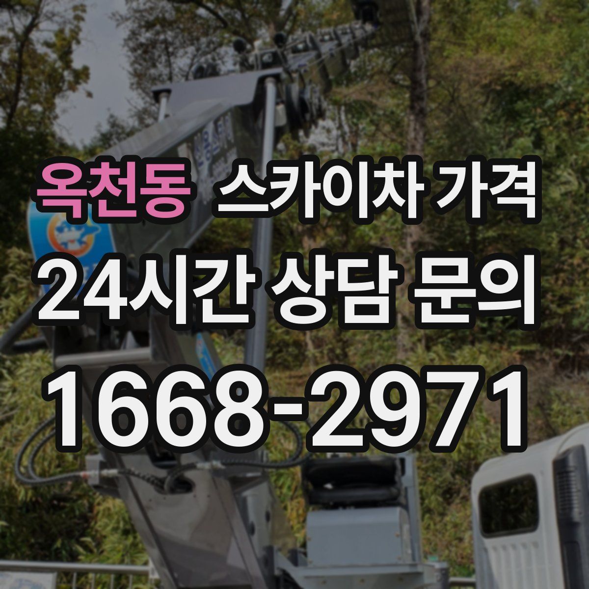 옥천동 스카이차 가격