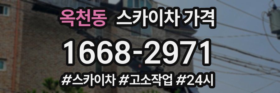 옥천동 스카이차 가격