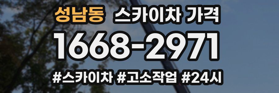 성남동 스카이차 가격