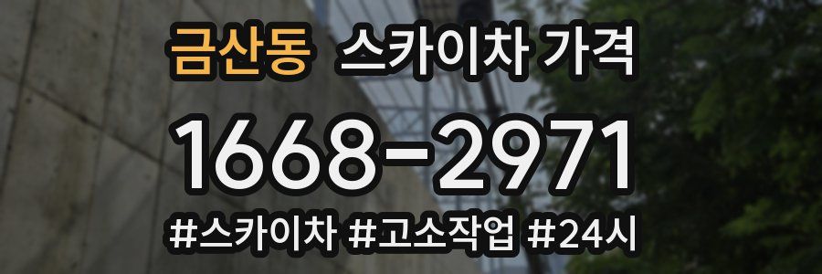 금산동 스카이차 가격