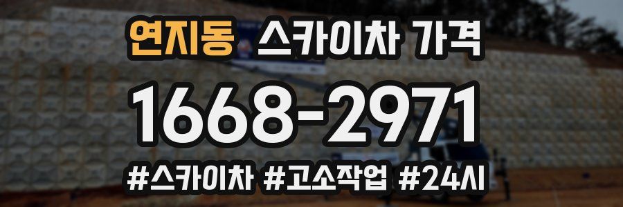 연지동 스카이차 가격