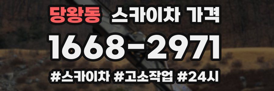 당왕동 스카이차 가격