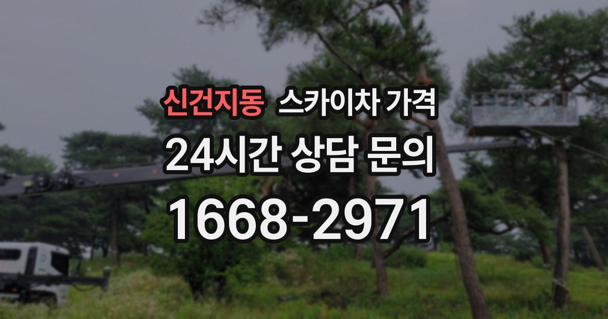 신건지동 스카이차 가격