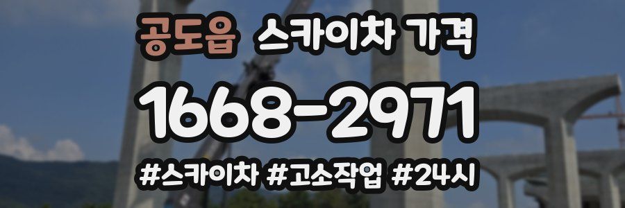 공도읍 스카이차 가격