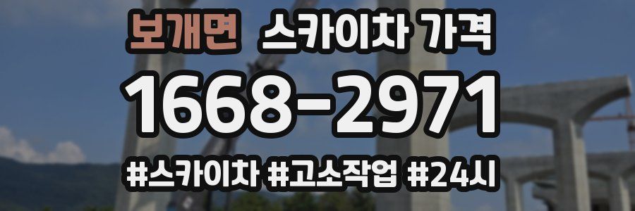 보개면 스카이차 가격