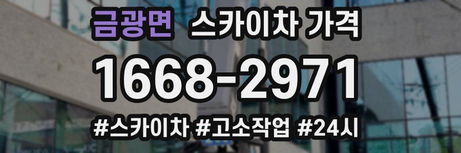 금광면 스카이차 가격