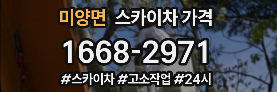 미양면 스카이차 가격