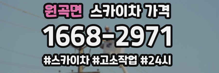 원곡면 스카이차 가격