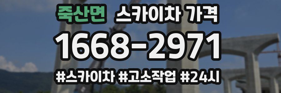 죽산면 스카이차 가격