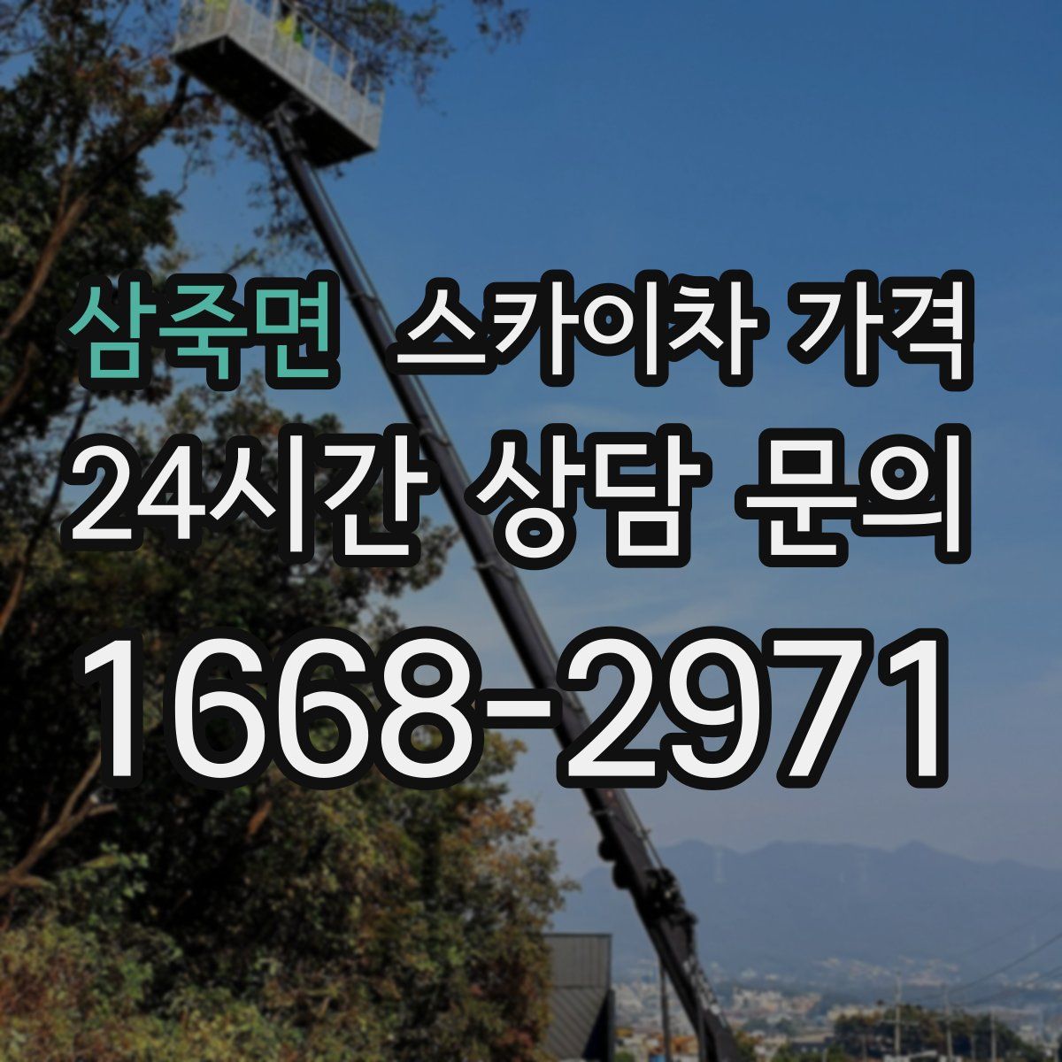 삼죽면 스카이차 가격