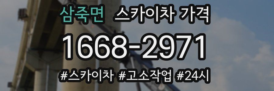 삼죽면 스카이차 가격