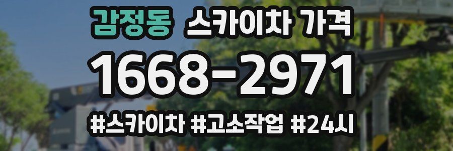 감정동 스카이차 가격