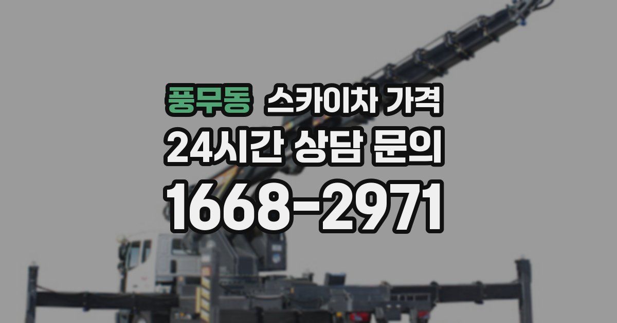 풍무동 스카이차 가격