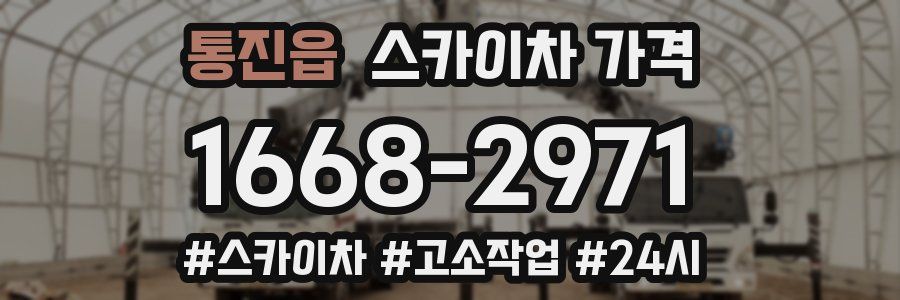 통진읍 스카이차 가격